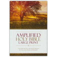 Amplified Large Print - Hardcover